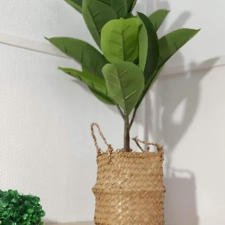 Place Verte - Situe Au Pied Du Musee De Valenciennes